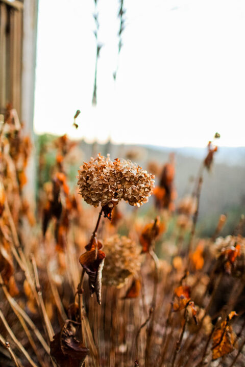 ?pp_route=%2Fimage-resize&path=%3DcGcq5CM5kDewYjNtYTNtMnbvlGdhNWY2NkTvUDMvEjMwIjf&width=480 NCvacations-56