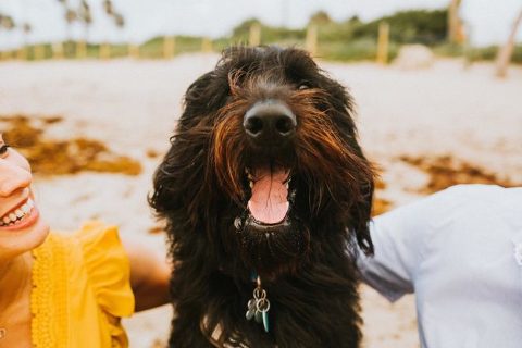 242404270_439183574202915_694841880996586166_n-660x440(pp_w480_h320) Instagram 17942066362577889