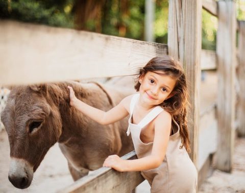 171738938_2985392561784515_1259285029304777993_n-660x521(pp_w480_h378) Instagram 17920000351609733