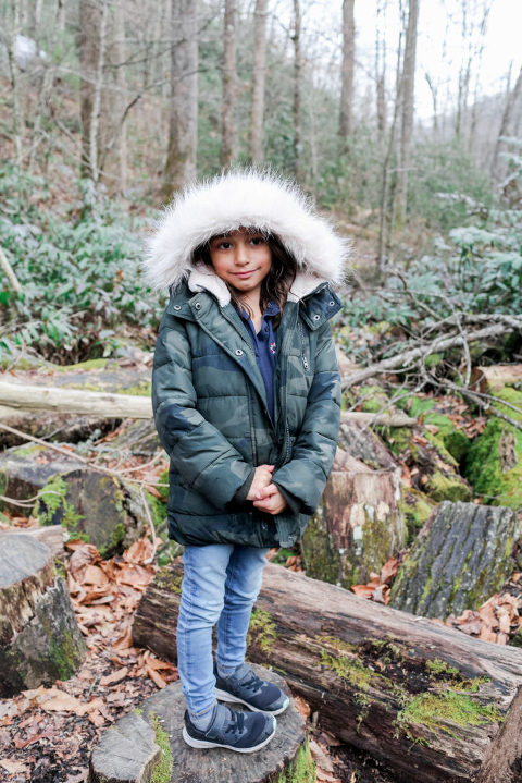 NCvacations-01-683x1024(pp_w480_h719) A Mountain Escapade - Brevard, NC