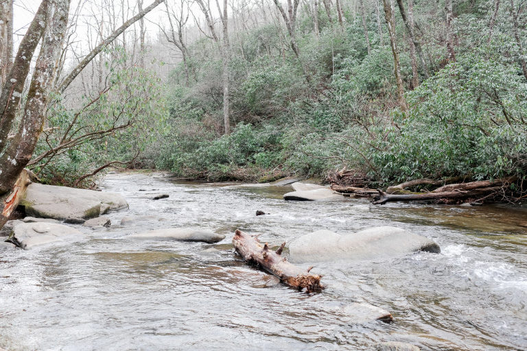 NCvacations-02-1024x683(pp_w768_h512) A Mountain Escapade - Brevard, NC