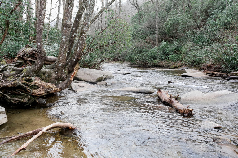 NCvacations-05-1024x683(pp_w768_h512) A Mountain Escapade - Brevard, NC