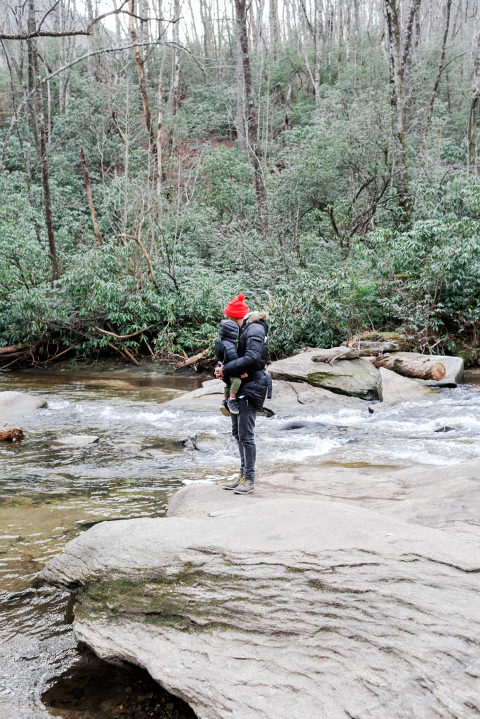 NCvacations-06-683x1024(pp_w480_h719) A Mountain Escapade - Brevard, NC